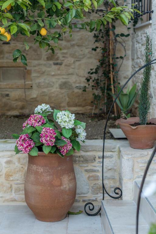 Cretan Rhapsody - Rustick villa in Síva Sívas Exterior foto